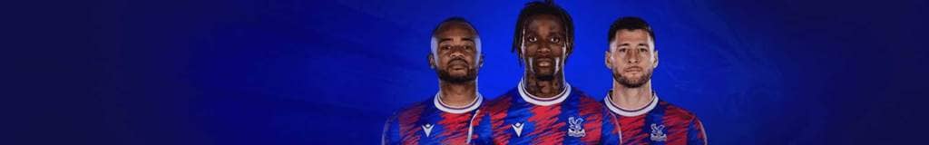 sudoku swordfish method
